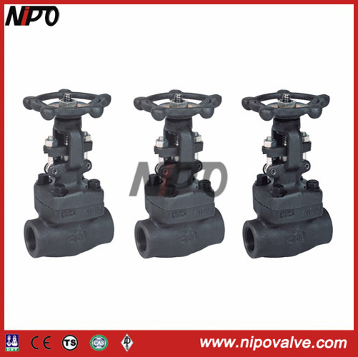 Forged Steel A105 Thread Gate Valve