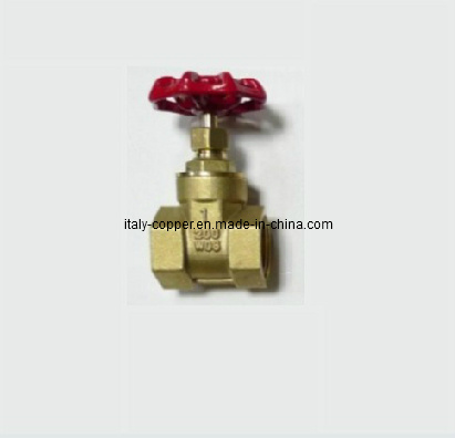 Gate Valve (AV4048)