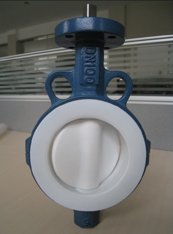 Wafer Type Split Body Butterfly Valve with PTFE