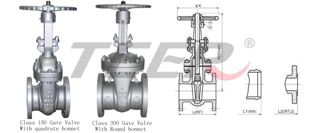 API 6d Gatevalve (Z41H-150-600LB)