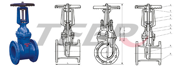 API Cast Steel Gate Valve (Z41H-150LB -600LB)