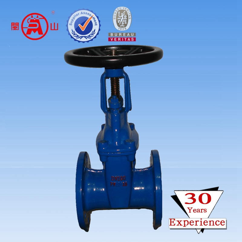 OS&Y Gate Valve