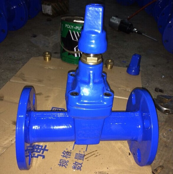 Ductile Iron DIN3352 F5 Gate Valve Dn80