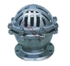 Foot Valve