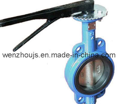 PTFE Butterfly Valve (JS-D006) 