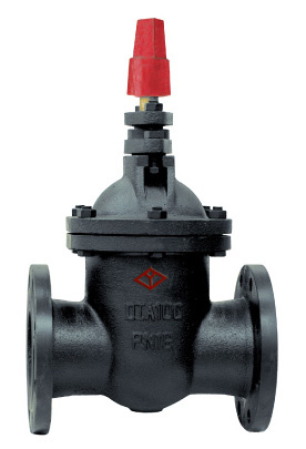 NF Gate Valve (NFSZ45)