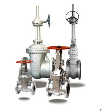 Wedge Gate Valve Series