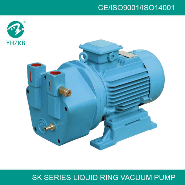 Hot Vacuum Pump (SK Series)