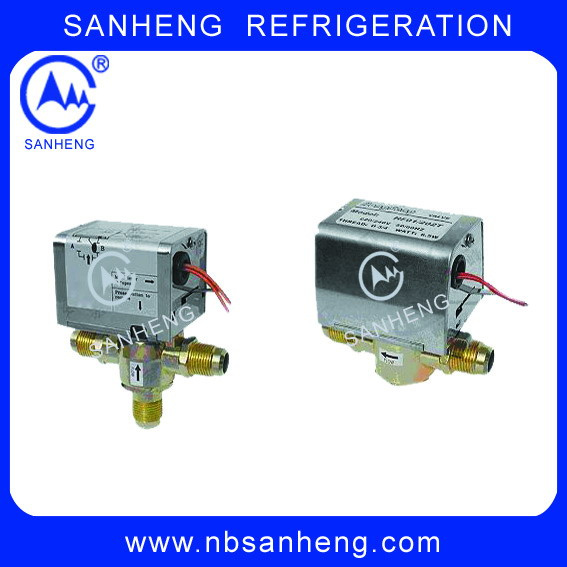 Motorised Valve (DF/F-04-218) with Good Quality
