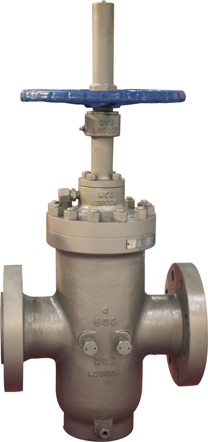 DIN Stainless Steel Gate Valve