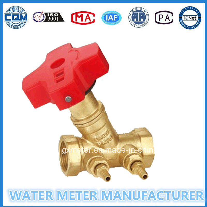 Water Meters Brass Balance Valves (Dn15-40mm)