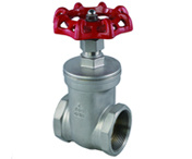 Stainless Steel 200psi Industrial Gate Valve (DYTV-040)