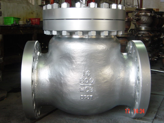 Swing Check Valve