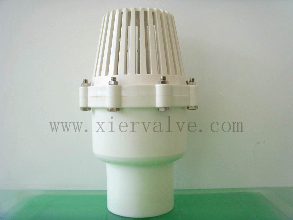 Foot Valve (XE02010) -4