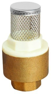 Brass Spring Check Valve with Filter (HL5103)