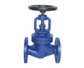 Globe Valve