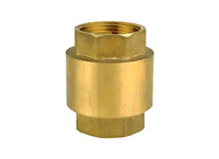 Check Valves (DC-C1102)