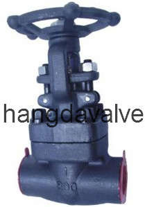 Forged Steel Globe Valve