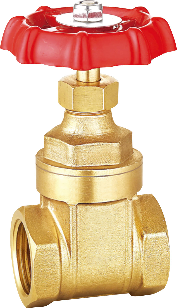 Low Temperature Cryogenic Manual Globe Valve