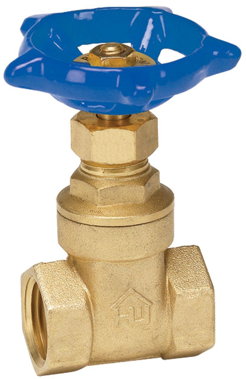 Brass Gate Valve/Check Valve