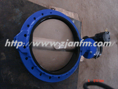 Single Flange Butterfly Valve