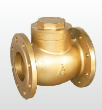 (A) Flanged Brass Check Valve