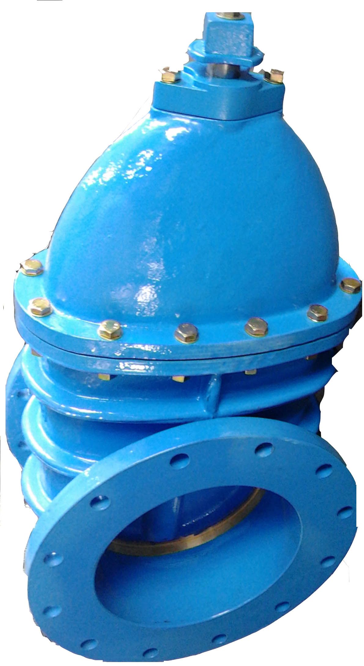 Ductile Iron Body Gate Valve (Z45H)