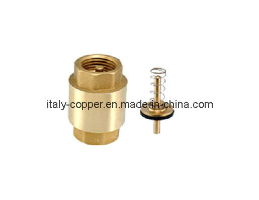 Brass Spring Vetrical Check Valve (AV5010)
