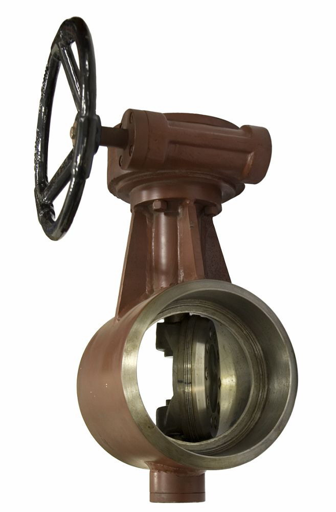 Double Ecctentric Butterfly Valve