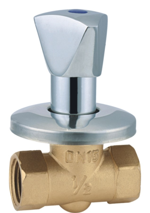 Brass Gate Valve (WSD-7013)