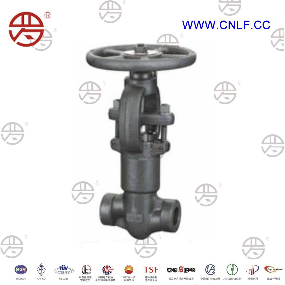 Forged Steel Pressure Seal Bonnet Gate Valve
