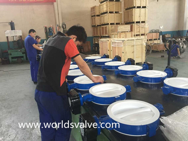 Split Body PTFE Lining Wafer Type Butterfly Valve