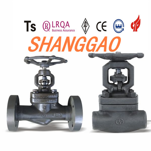 Globe Valve Made in China