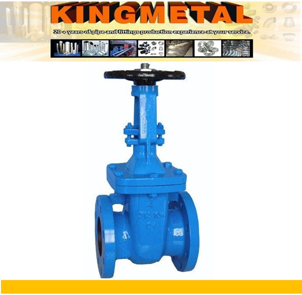 Cast Iron Manual Slide Rising Stem Gate Valve