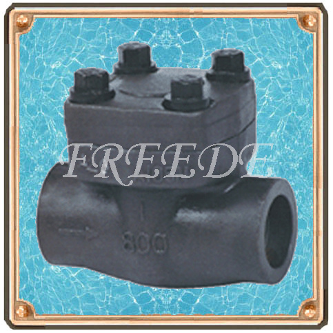 Forged Steel Check Valve