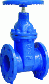 Gate Valves (BS5163)