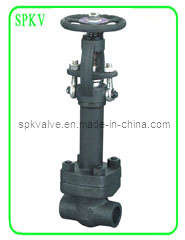 Cryogenic Gate Valve (Fig. 91C)