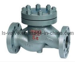 Lift Check Valve