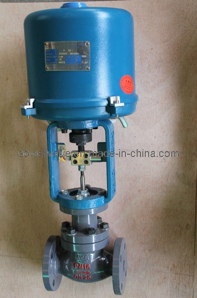 Small-Port Single-Seated Control Valve