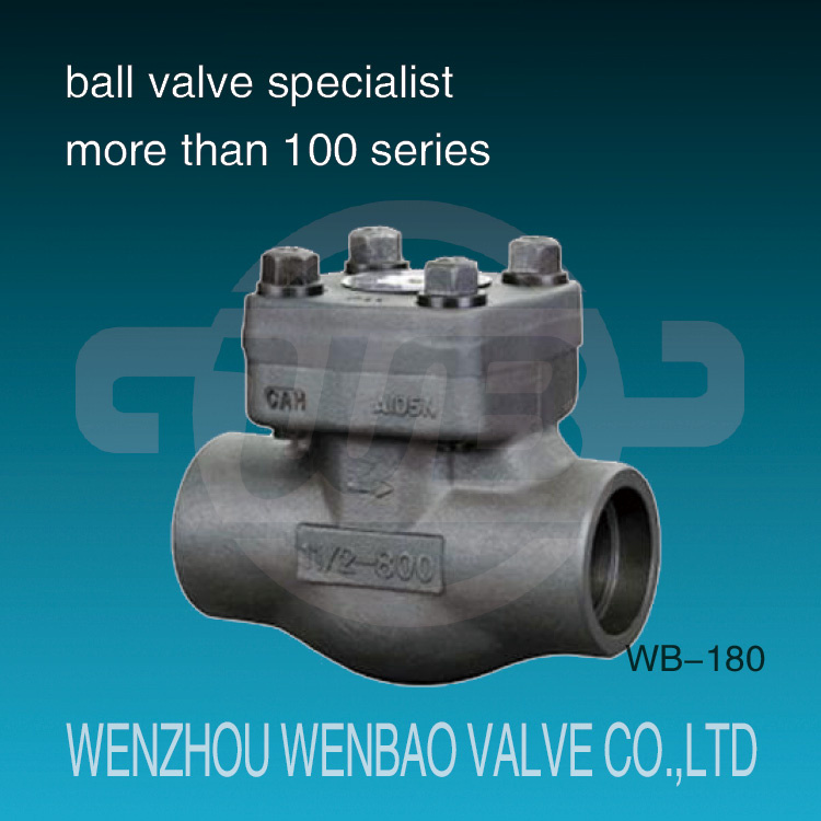 Forged Carbon Steel Socket Weld Check Valve 800lb