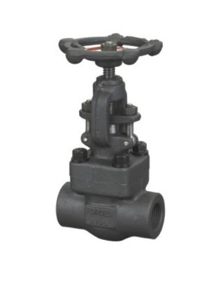 Forged Gate Valve