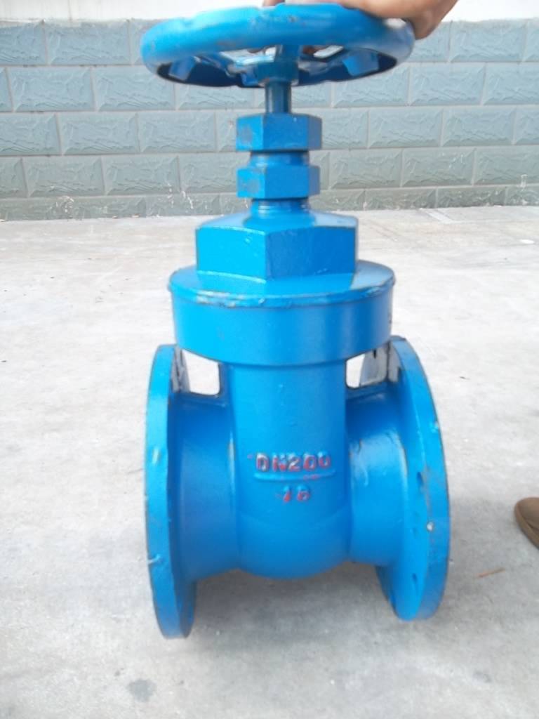 Cast Iron Gate Valve