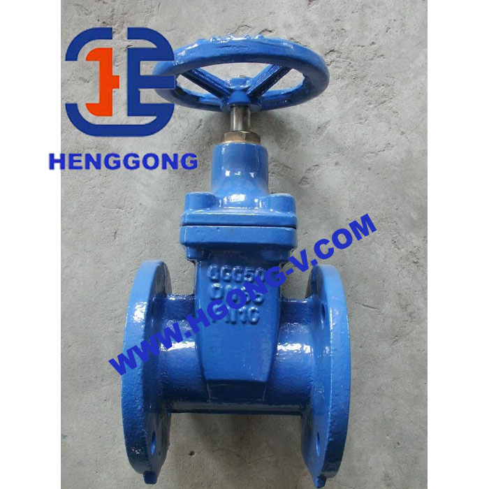 BS Cast Iron Rubber Seat Gate Valve