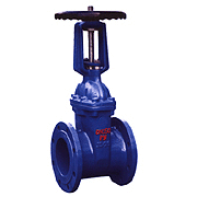 Rising Stem Resilient Seated Gate Valve