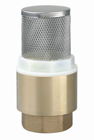 Check Valve (TT4000)