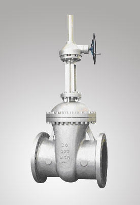 Gate Valve GOST Standard