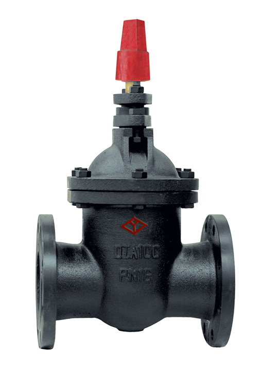 Cast Iron NF Gate Valve Z45t-16 with CE (Z45T-16)