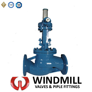 Globe Valve Dn200, Pn16 (J41H)