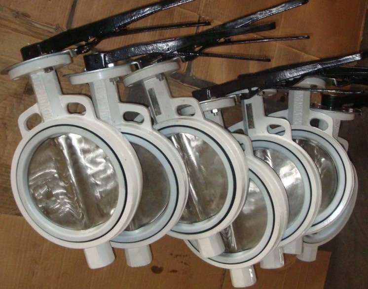 Centric Butterfly Valve