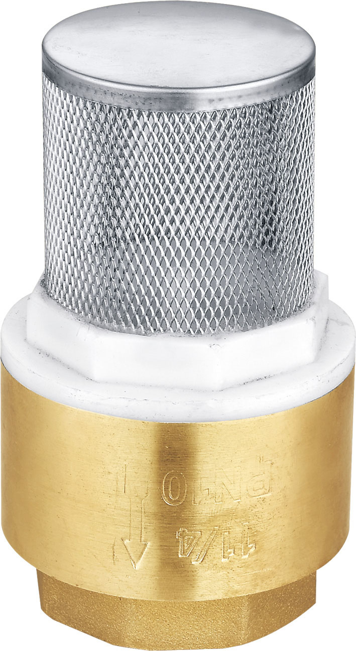 Stainless Steel Mesh Strainer Spring Check Valve Brass Valve